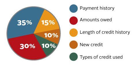 Infographic of credit report.