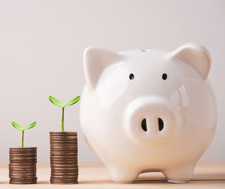 White piggy bank saving beside of plant growth on coins stacking.