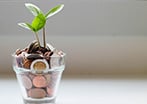 Image of a plant in glass pot filled with coins